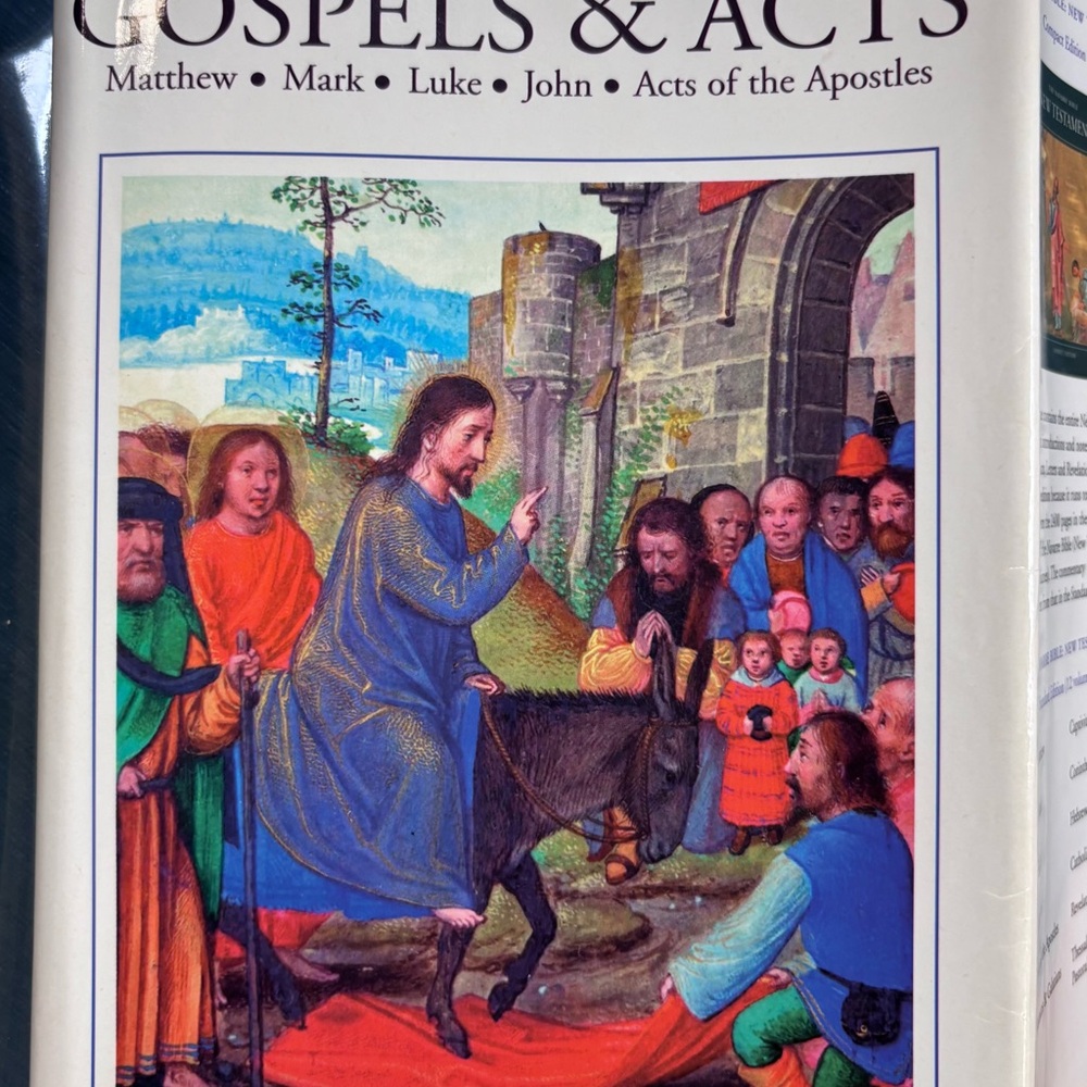 The Navarre Bible - Gospels & Acts Illustrated Hardcover